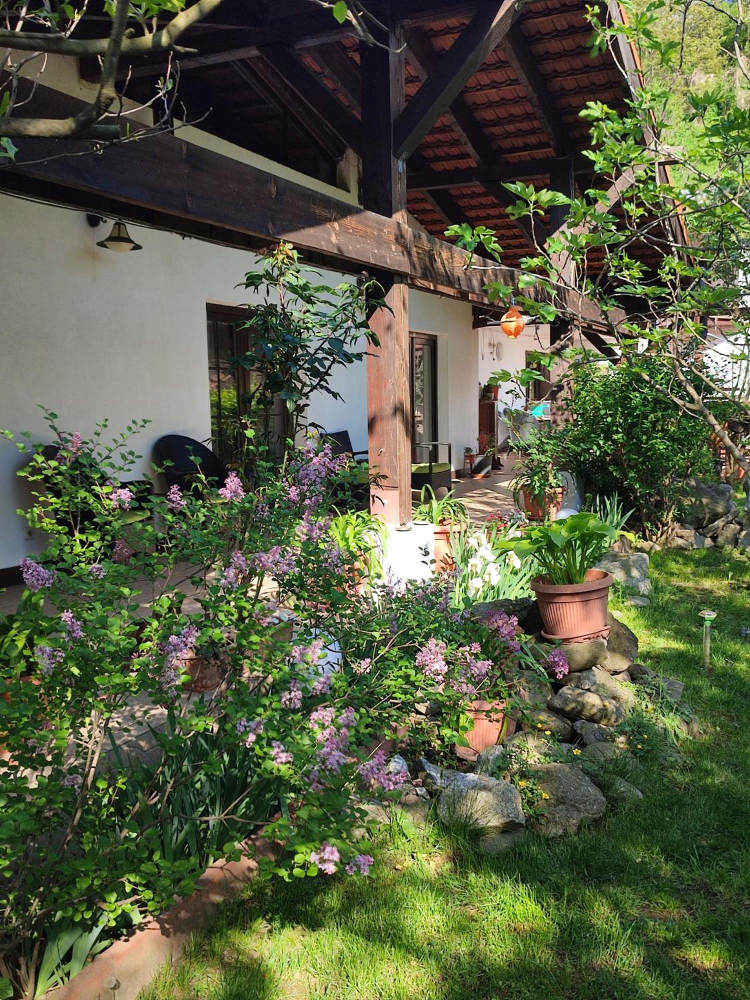 Pensiunea La Dolce Vita Băile Herculane Buitenkant foto