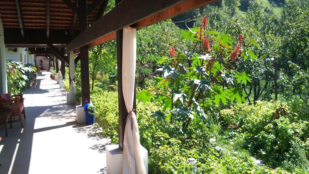 Pensiunea La Dolce Vita Băile Herculane Buitenkant foto