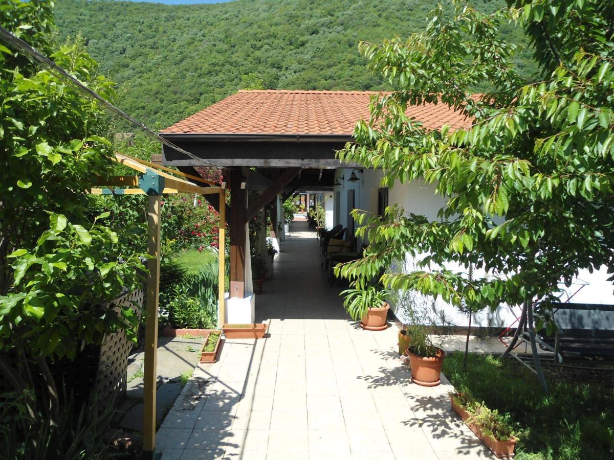 Pensiunea La Dolce Vita Băile Herculane Buitenkant foto